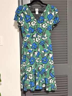 CAbi Green Floral Midi Dress with Blue & White Blooms